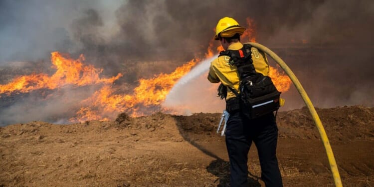 A firefighter points a fire hose towards brush that is caught on fire.