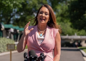 Agriculture Secretary Brooke Rollins, pictured speaking outside the White House May 8.
