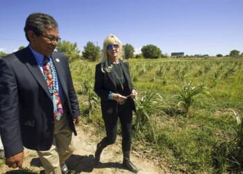 Erin Brockovich Puts AI Data Centers on the Map – PJ Media