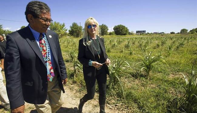 Erin Brockovich Puts AI Data Centers on the Map – PJ Media