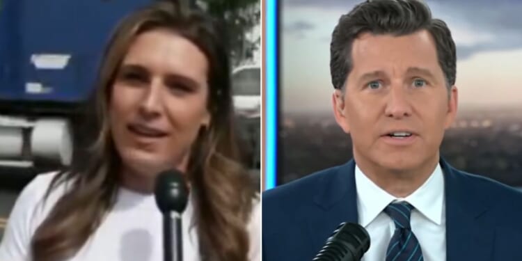 Fox News host Will Cain, right, appeared stunned at the vulgarity and hostility that reporter Alexis McAdams, left, endured in the segment.