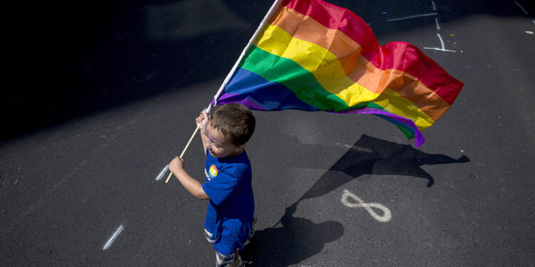 Changes to parenting laws brought about by LGBTQ activism have undermined children's rights, according to Them Before Us.