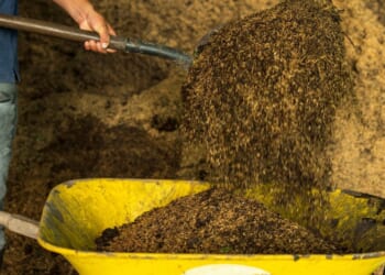 A man shovels some compost.