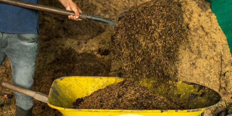 A man shovels some compost.