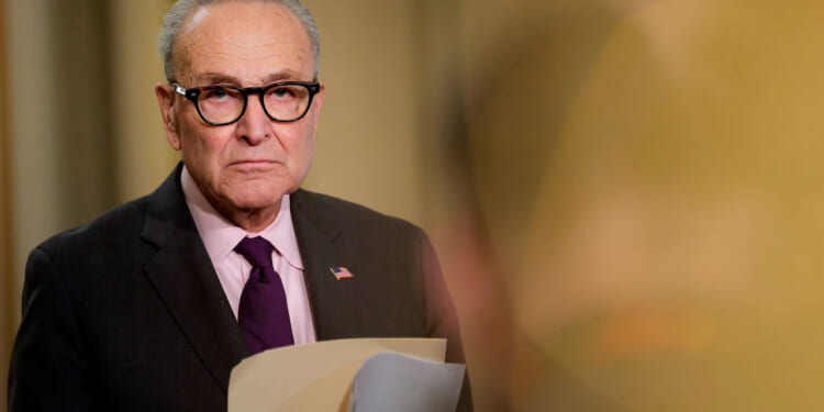 A dour-looking Chuck Schumer holding a file.