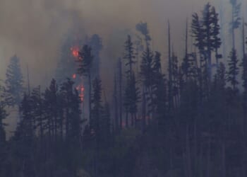 New Mexico wildfire sparked by fatal medical plane crash spreads quickly in rural area