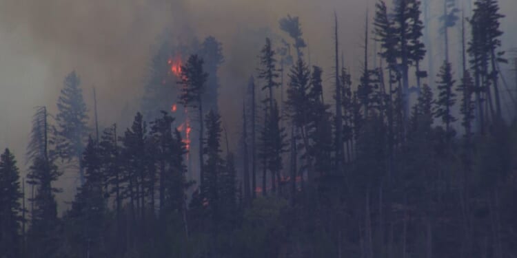 New Mexico wildfire sparked by fatal medical plane crash spreads quickly in rural area