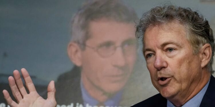 Sen. Rand Paul questions Dr. Anthony Fauci, director of the National Institutes of Allergy and Infectious Diseases, during a Senate Committee on Health, Education, Labor and Pensions hearing about the federal response to monkeypox, on Sept. 14, 2022, in Washington, D.C.