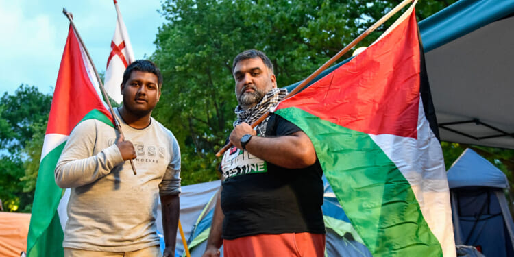 Pro-Palestinian protestors continue protesting at the pro-Palestine encampment of the University of Michigan.