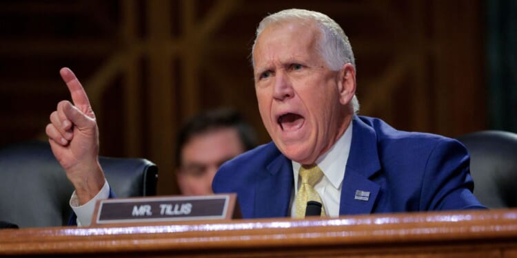 GOP Sen. Thom Tillis of North Carolina speaks during a March Senate Judiciary Committee in Washington, D.C.