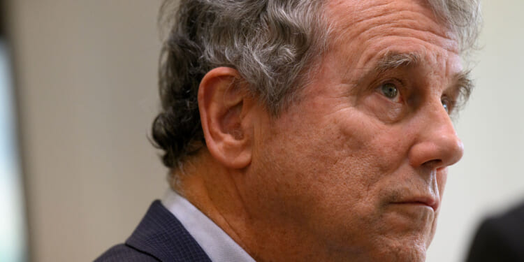 A side view of former Sen. Sherrod Brown.