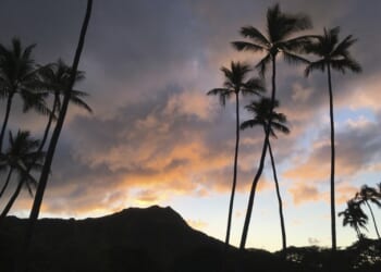 ‘Affordable Housing’? Hawaii Official Used Lucrative Government Contracts to Get Bribes – PJ Media