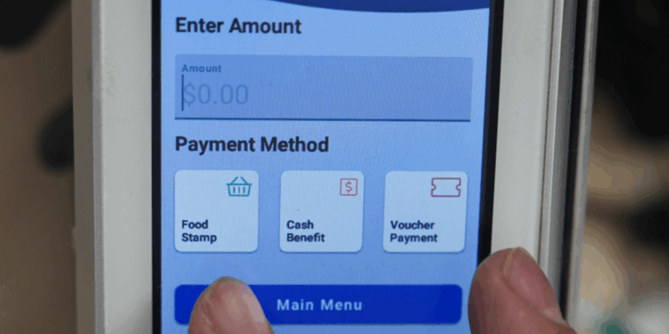 11 suspected migrants charged with stealing food stamps, other benefits