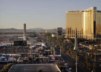 Teenage girl arrested after competition horses were stabbed in Las Vegas