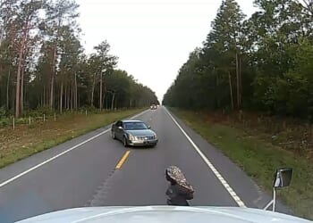 Video shows moment truck-driving preacher helps thwart alleged kidnapping in South Carolina