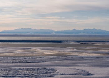 Limited interest in latest oil and gas lease sale for Alaska’s Arctic National Wildlife Refuge