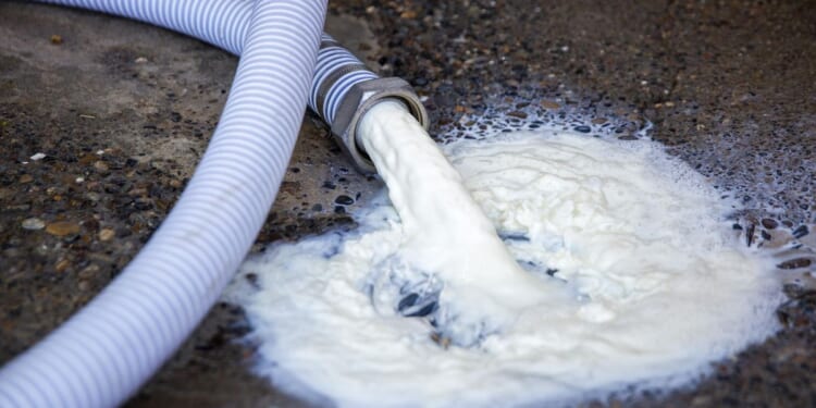 Idaho health officials probe outbreaks linked to raw milk