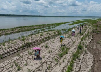 Colombia’s presidential runoff could impact the future of the Amazon rainforest and fossil fuels