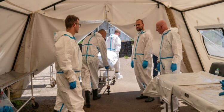 Forensic teams give names back to remains of Ukraine’s fallen
