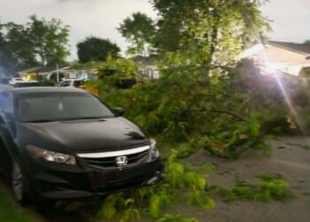 Tornadoes in Illinois and Indiana leave residents grappling with damage; cleanup efforts underway
