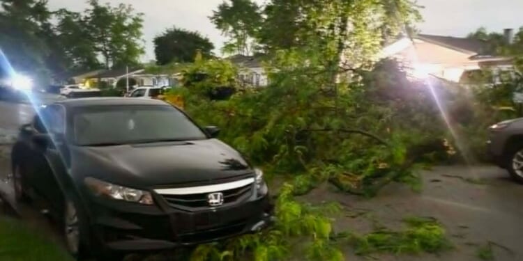 Tornadoes in Illinois and Indiana leave residents grappling with damage; cleanup efforts underway