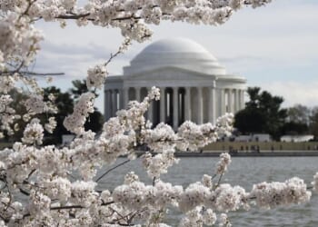 Trump’s National Garden of American Heroes hit with lawsuit