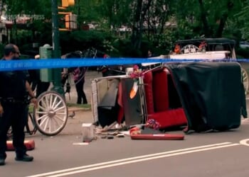 NYC carriage horse industry on pause after teenage tourist death in Central Park