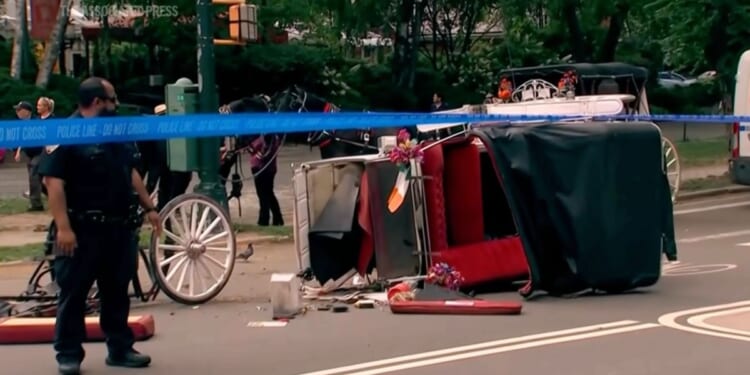 NYC carriage horse industry on pause after teenage tourist death in Central Park
