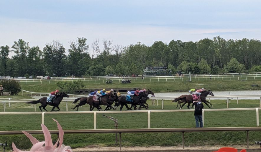 Thoroughbred colts raced in the 151st Preakness Stakes at Laurel Park, Maryland, on May 16. This year's race was moved out of Baltimore for the first time in 118 years due to renovations at Pimlico Race Course. (Sean Salai/The Washington Times)
