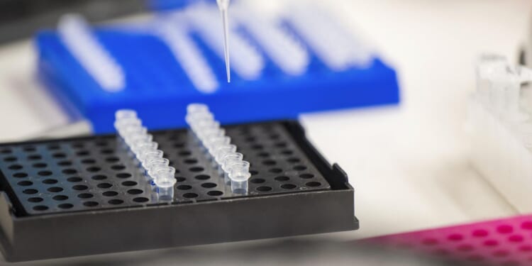Former Colorado analyst pleads guilty in DNA testing scandal