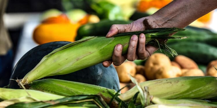 Iranian official trashes talk of buying U.S. farm products, underscoring tensions with Washington