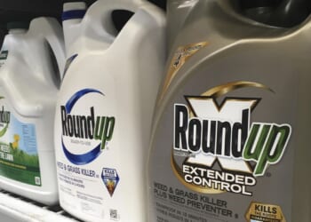 Bayer wins in Roundup cancer case in the Supreme Court
