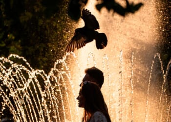 France records around 1,000 additional deaths as extreme heat sets European records