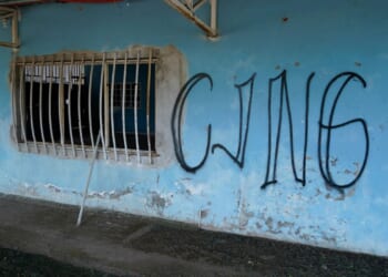 Chinese national pleads guilty to cocaine smuggling, CJNG terror support
