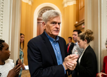 Senator Bill Cassidy
