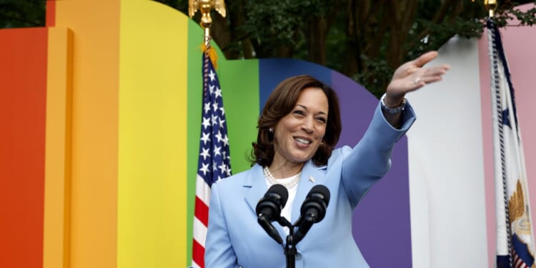 Kamala Harris waves in front of a backdrop of LGBT pride colors.