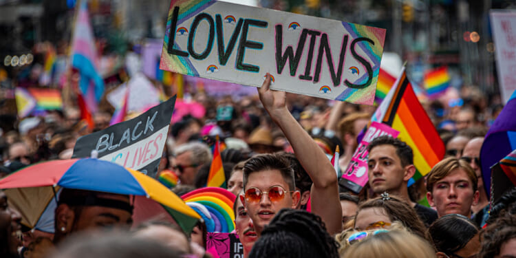 The campaign to overturn the Supreme Court's gay marriage decision, Obergefell v. Hodges, says a new poll shows it isn't dividing Republicans ahead of the midterms.