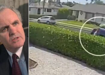 Investigators said "Jumanji" and "Top Gun: Maverick" actor James Handy was stabbed by the 44-year-old son of his girlfriend.
