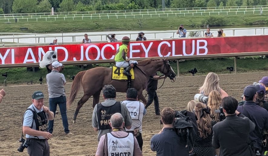Thoroughbred colts raced in the 151st Preakness Stakes at Laurel Park, Maryland, on May 16. This year's race was moved out of Baltimore for the first time in 118 years due to renovations at Pimlico Race Course. (Sean Salai/The Washington Times)