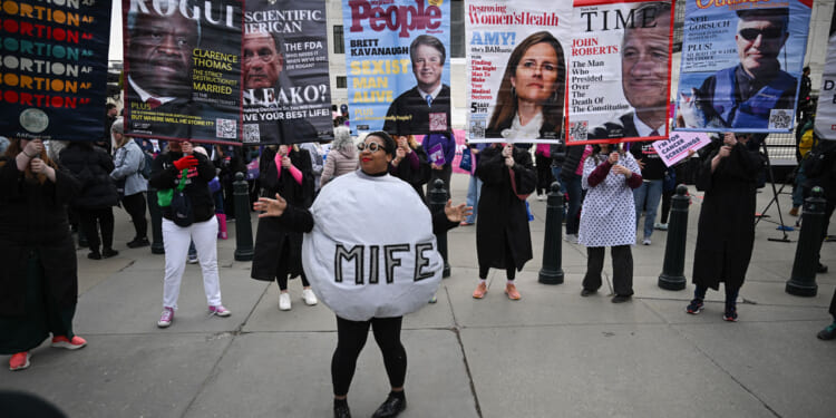 A woman in a "Mife" costume dances around while abortion activists stand behind her with signs at the U.S. Supreme Court.