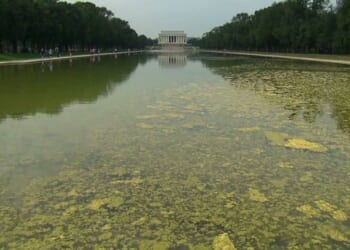 Reflecting on Politics in 2026 – HotAir