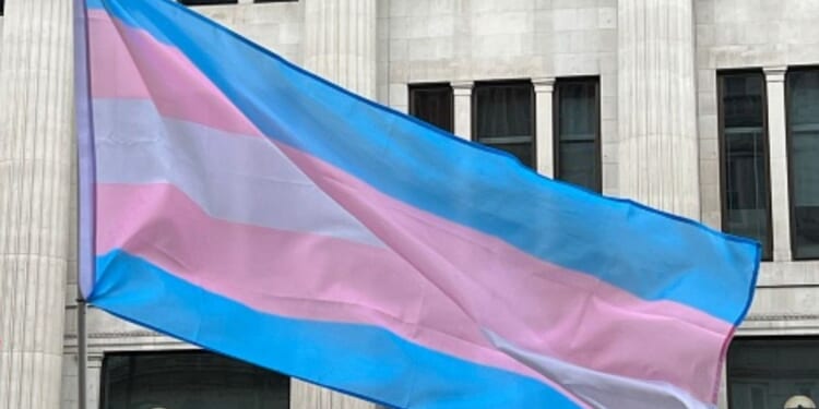 The trans flag waves outside of a building.