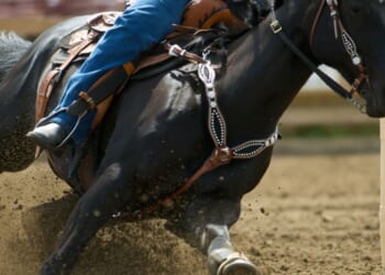 A barrel racing horse and rider make their way through a course.