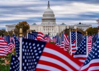 Why do fewer Black Americans fly the American flag than White Americans