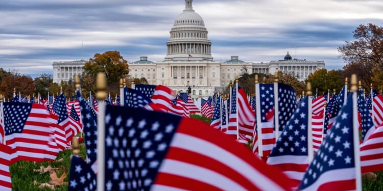 Why do fewer Black Americans fly the American flag than White Americans