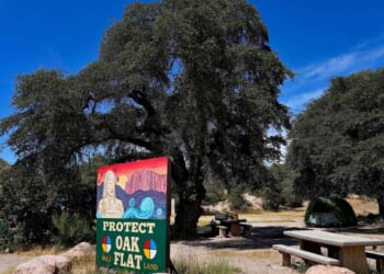 Man banned from national parks in Arizona after living illegally for years in Tonto National Forest