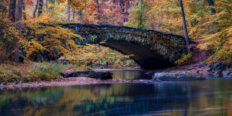 Car careens into Rock Creek during rain