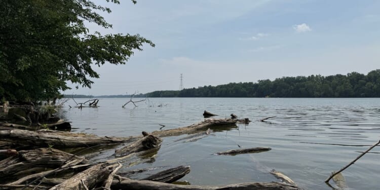 Attempt to save a struggling swimmer leaves 5 dead in an Ohio river