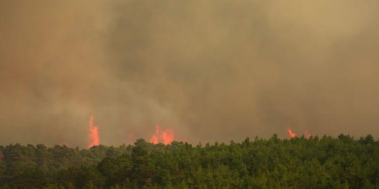 Firefighters battle one of Spain’s biggest-ever wildfires during heat wave across the Mediterranean