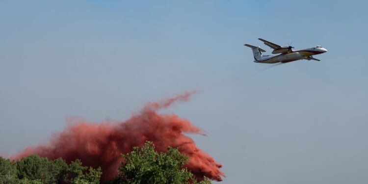 Wildfires near Madrid and in southwestern France force over 80,000 to evacuate
